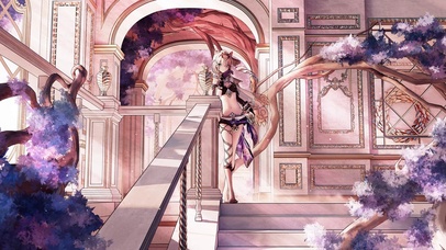 帕朵