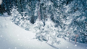 漫天大雪
