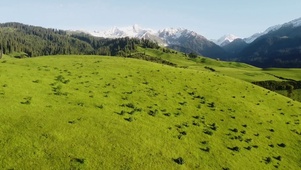 4K 风景