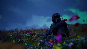 CS花海