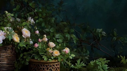 护眼花草树木带鱼屏