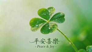 治愈幸运草，平安喜乐