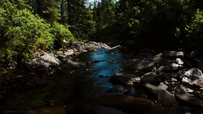 森林山涧溪流