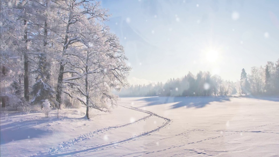 冬日开阔雪原上，左侧覆满白霜的林木，雪地留着车辙，暖阳洒落薄雾远山。