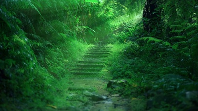雨天护眼幽静台阶