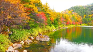 高山红叶湖
