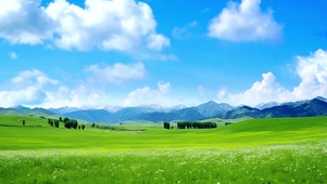 草原自然美景