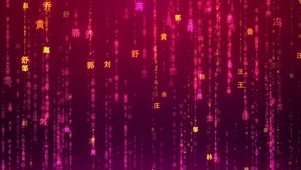 中国姓氏矩阵