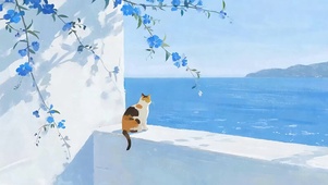 海景猫咪