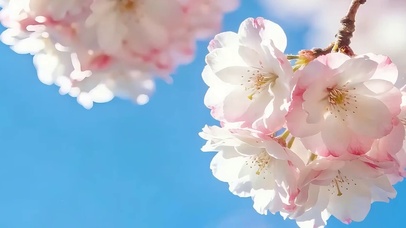 蓝天花景双屏
