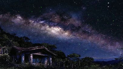 星空树木