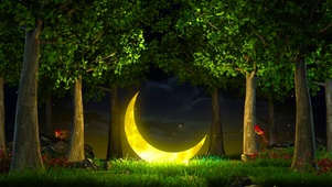 夜晚树林弯月