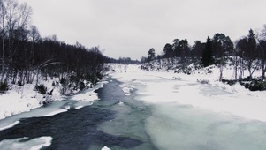 寂静雪林