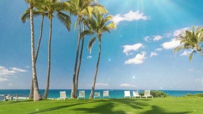 海边椰树林夏日和风