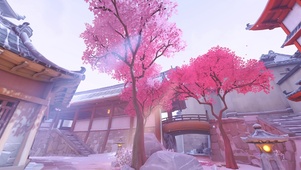 守望先锋花村