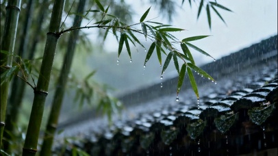 下雨天