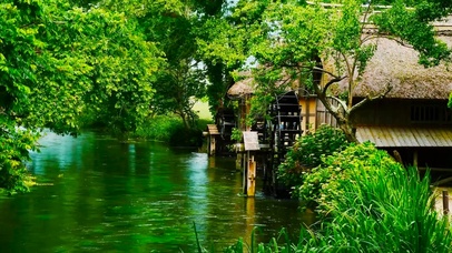 护眼绿林溪流水车