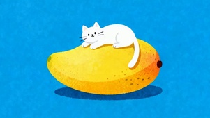 可爱猫咪