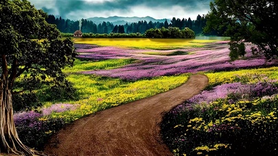 美丽的花海