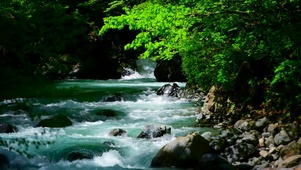 清凉夏日山涧