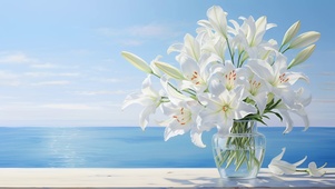 海边百合