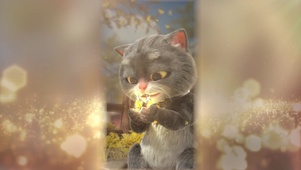 班布猫-破蛹成蝶