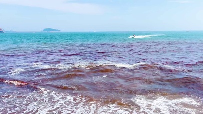 4k青岛海边游客乘坐摩托艇