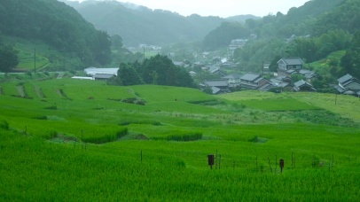 雨天乡村田园