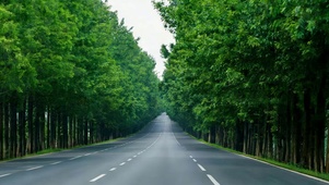 4K 公路 吹吹丛林的风 