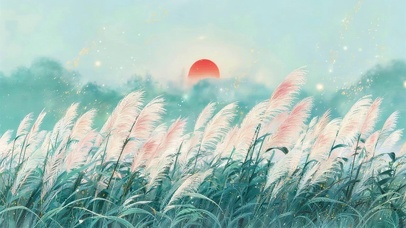 唯美的芦苇