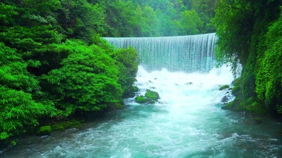 唯美治愈瀑布流水 4K