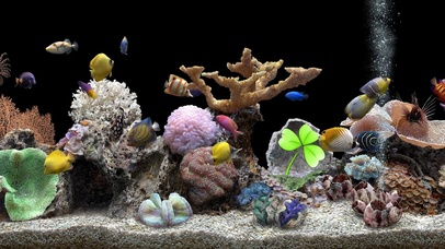 4k梦幻珊瑚水族箱