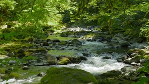 绿林山涧河流