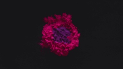 4K 高清 彩色粉末爆炸