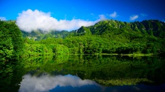 护眼绿色高山湖景4k