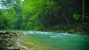雨后山间流水