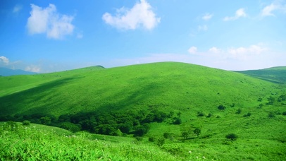 绿色草原护眼屏保