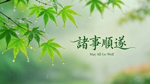 雨后清新绿意
