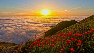 山顶云海日出