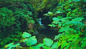 4K深山小溪