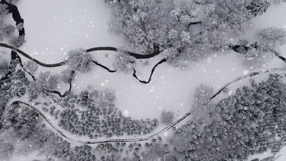 雪(双端)