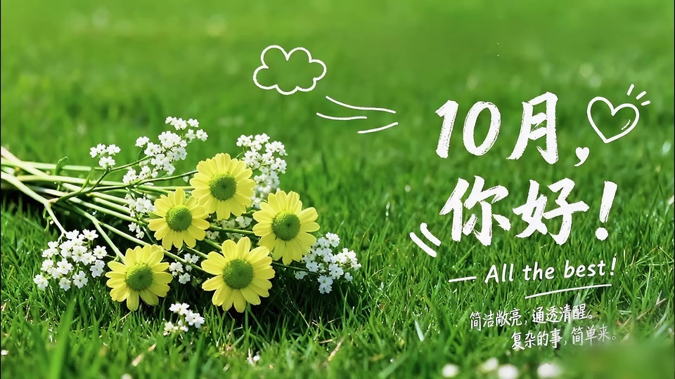 青绿色鲜草坪上摆放着由五朵黄心小菊和多簇白色细碎小花组成的清新花束。