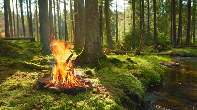 森林的篝火