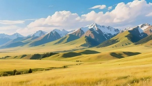 蓝天阳光金黄草原