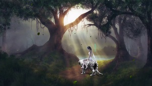 森林阳光精灵白虎