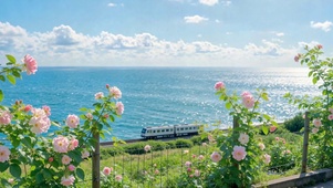 海边沿海列车清新风景
