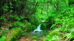 4K山涧小溪