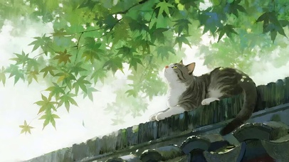 树下猫咪