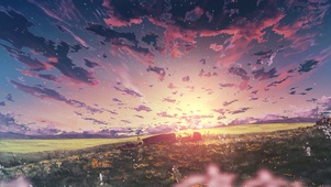 4K晚霞花田