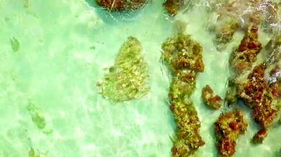 4K唯美清澈海岸